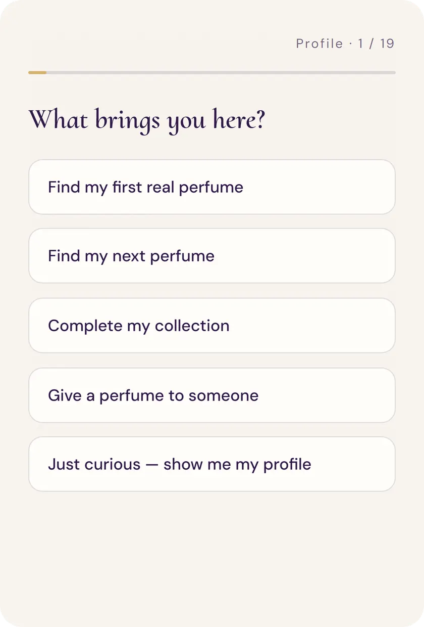 First question of the diagnosis: “What brings you here?”, with five possible answers.
