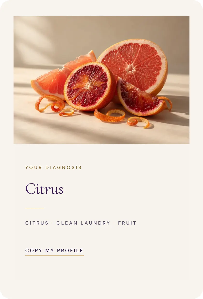 The scent profile obtained: the name of the profile and its leading families.