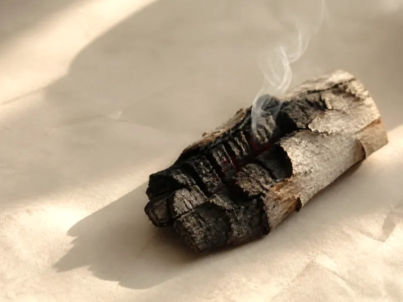 Charred birch wood and a curl of smoke