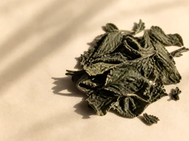 Crumpled dried patchouli leaves
