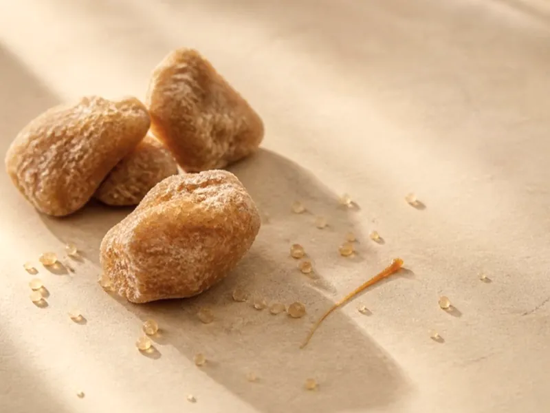 Cane sugar lumps and a thread of caramel