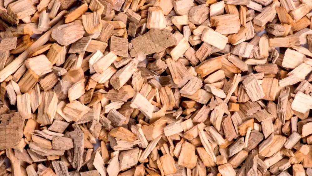Copeaux de bois clair en gros plan