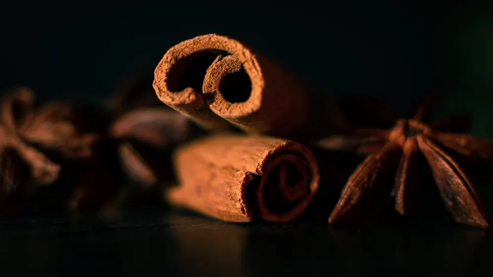 Cannelle et anis étoilé sur fond sombre