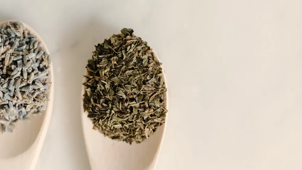 Herbes séchées présentées sur des cuillères