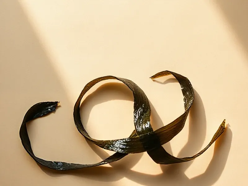 Coiled ribbons of brown-green seaweed