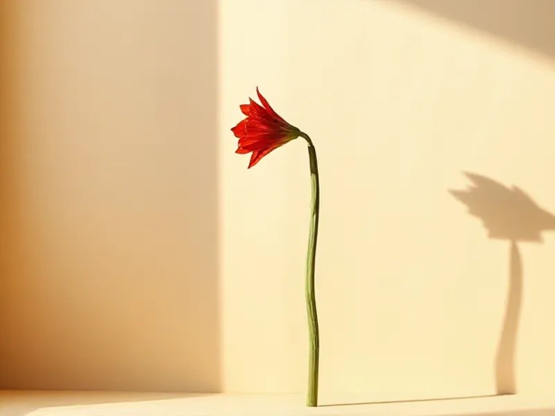 Red amaryllis flower on a long stem