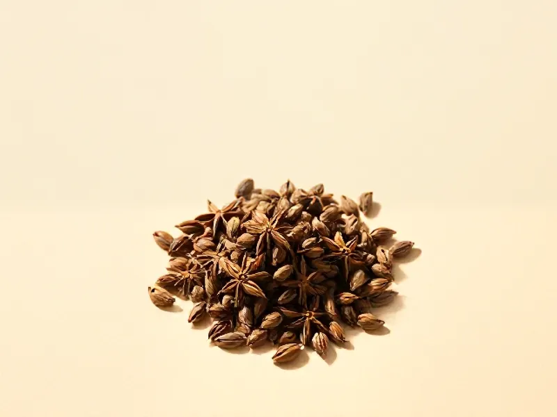 Heap of aniseed
