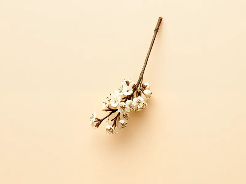 Branch of white hawthorn blossom