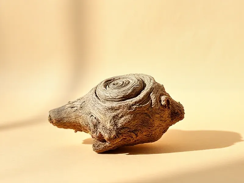 Gnarled olive wood with swirling grain