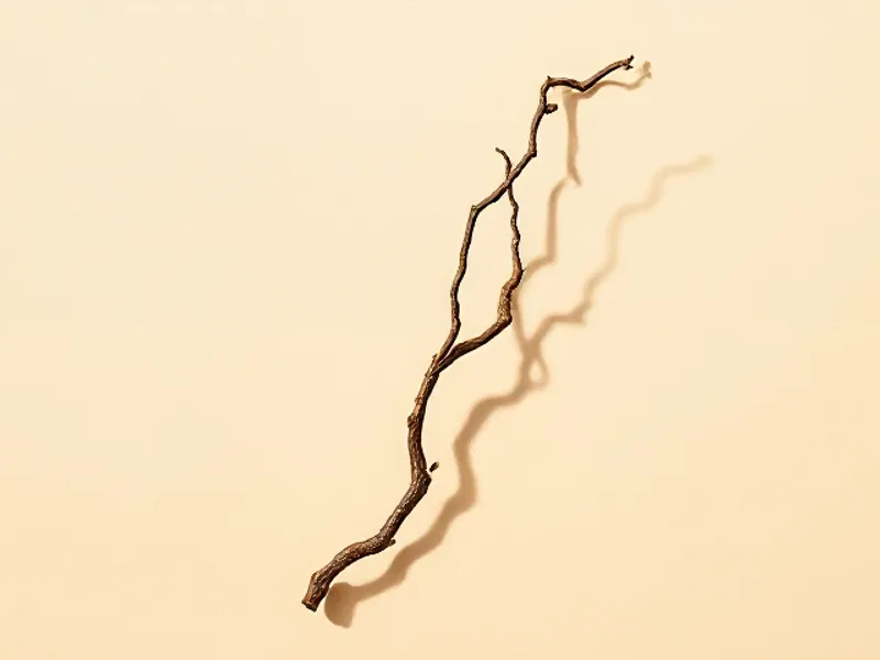 Woody, twisting liana stem