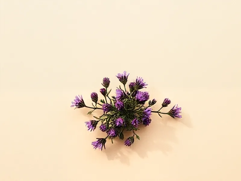 Sprigs of mauve heather