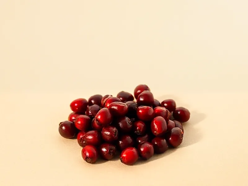 Heap of deep red cranberries