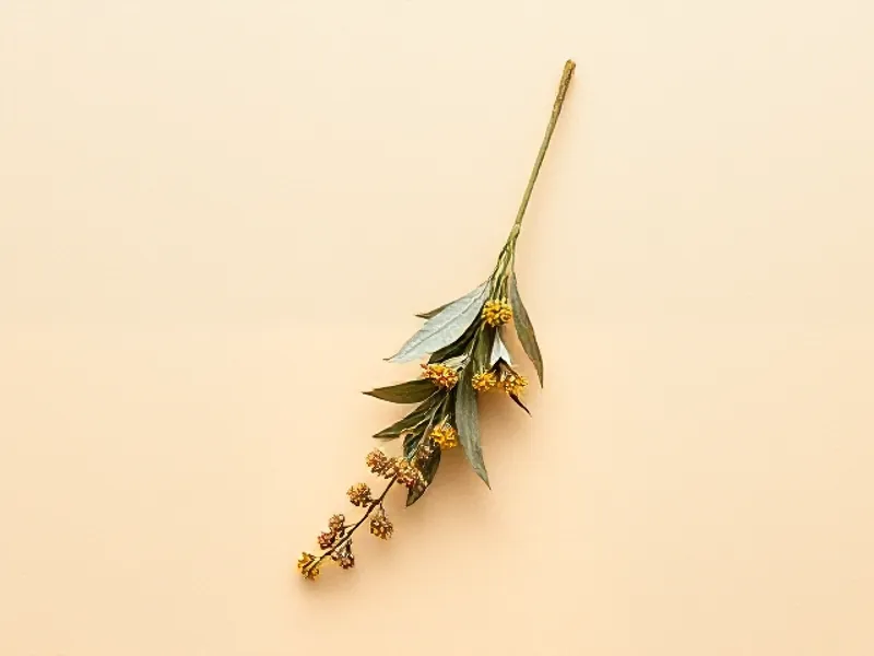 Silvery davana sprig with small yellow flowers