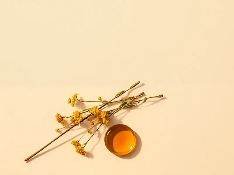 Golden everlasting stems beside a drop of oil