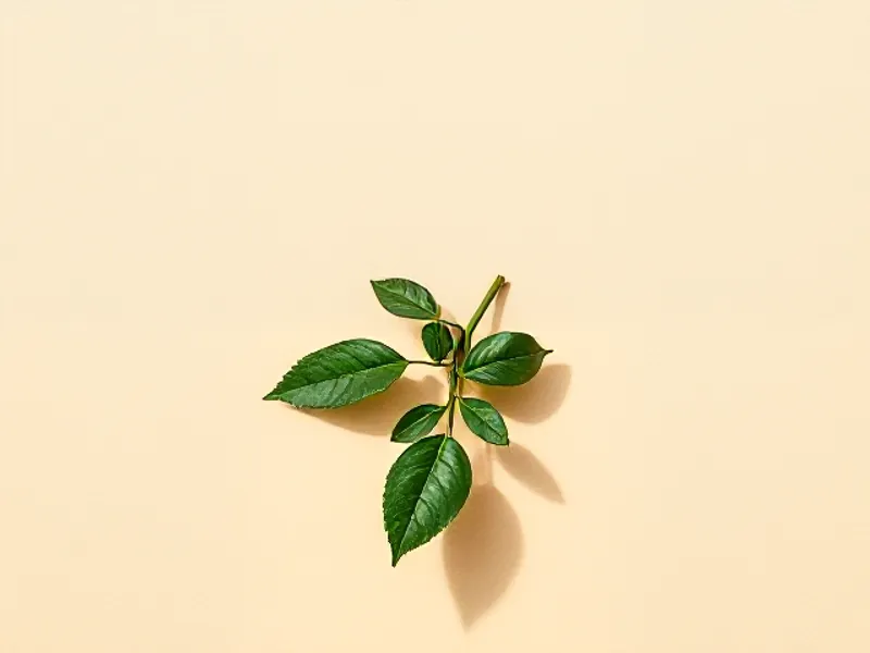 Serrated green rose leaves on a stem