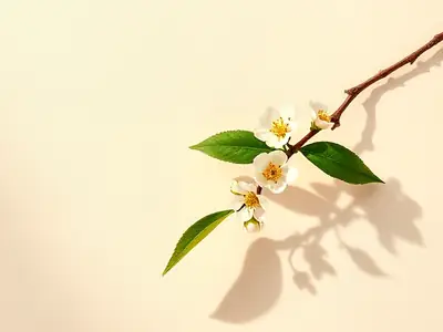 Branch of white orange blossom and green leaves