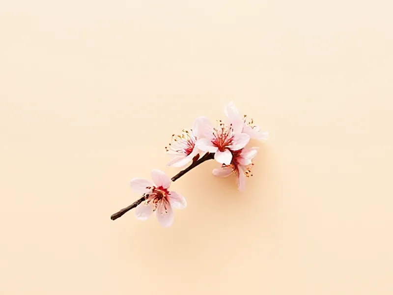 Pink cherry blossom on a branch