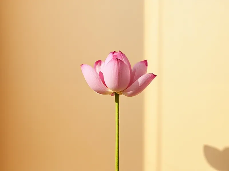 Pink lotus flower bud on a long stem