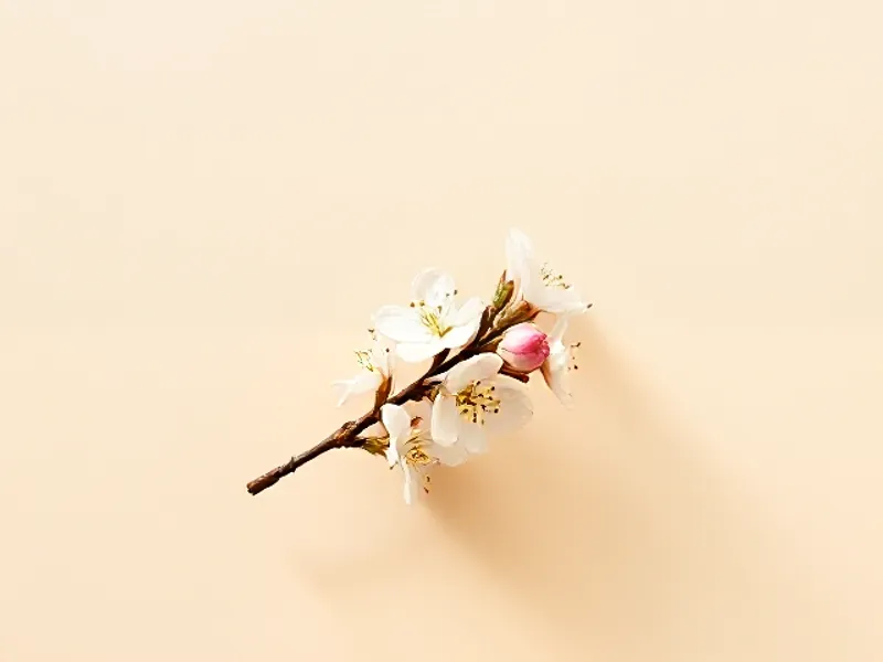 Branch of white apple blossom