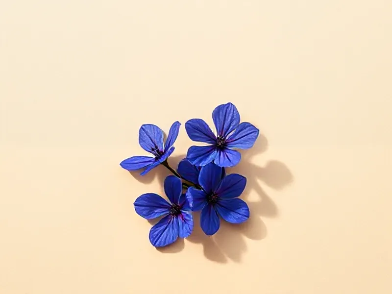 Deep blue gentian flowers