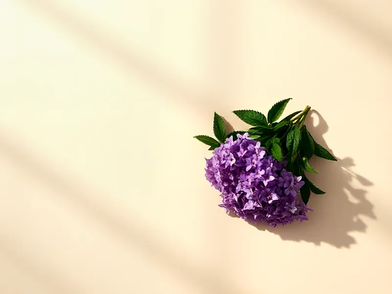 Cluster of small mauve heliotrope flowers and green leaves