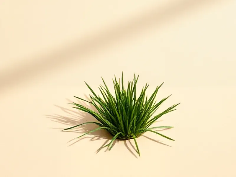 Tuft of green grass