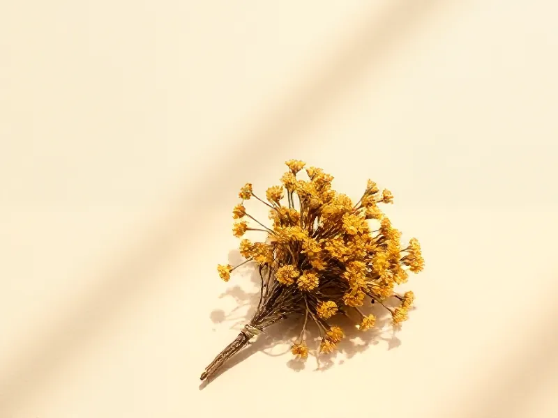 Small bouquet of dried yellow everlasting flowers