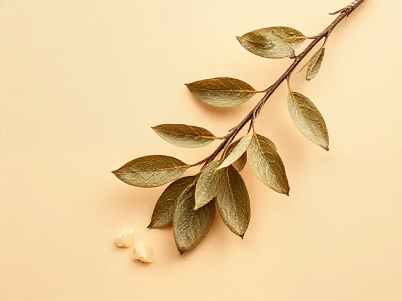 Leafy mastic branch with resin tears