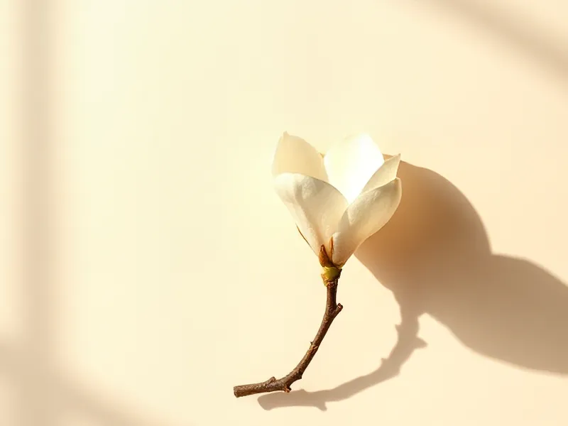 White magnolia flower on a short branch