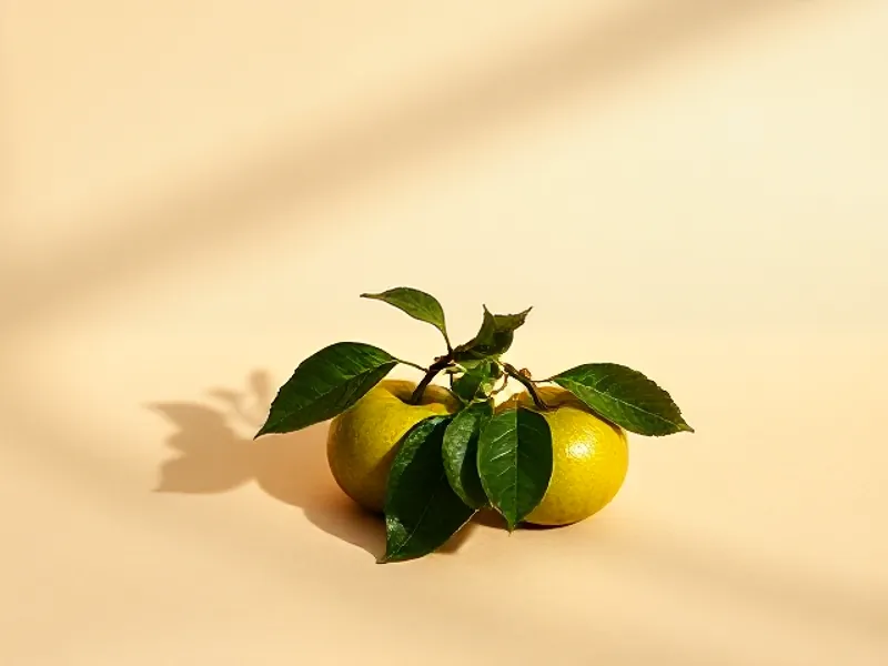Small green mandarins with their leaves