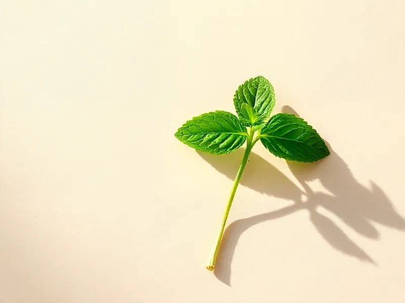 Sprig of green mint with textured leaves