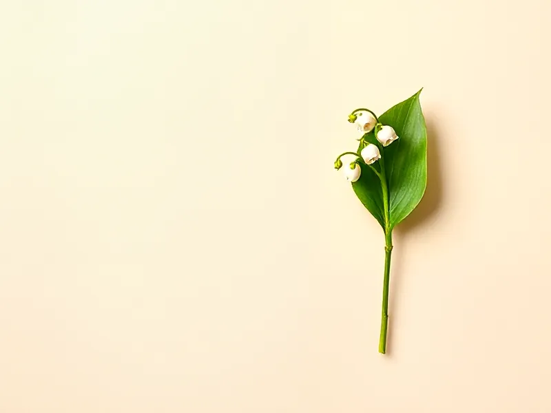 Sprig of lily of the valley, small white bells and a green leaf