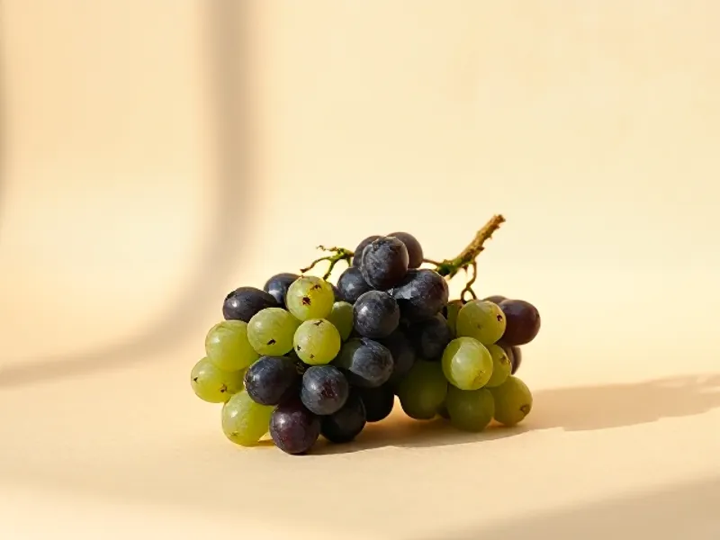 Cluster of black and green grapes