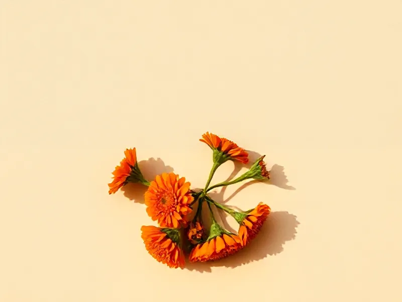 Orange marigold flowers