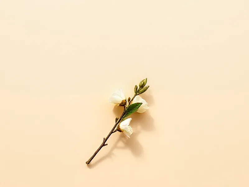 Sprig of white linden flowers