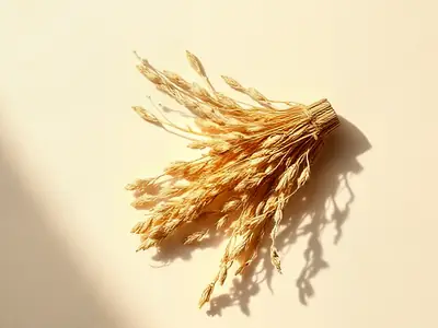 Bundle of dried vetiver roots, golden blond